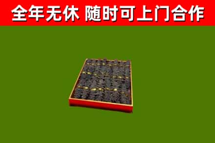 莱西回收海参